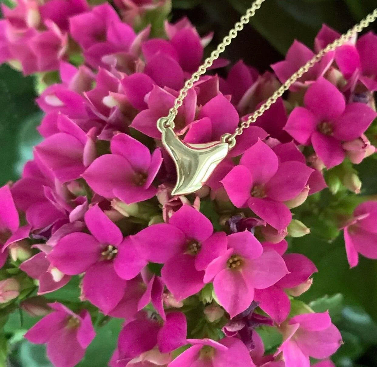 Shark Tooth Necklace