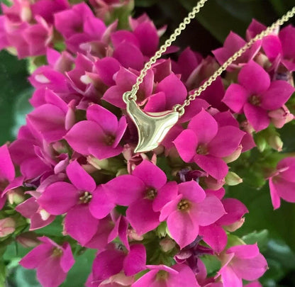Shark Tooth Necklace
